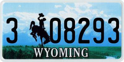 WY license plate 308293