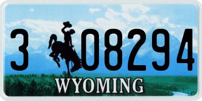 WY license plate 308294
