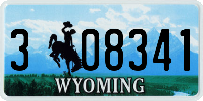 WY license plate 308341
