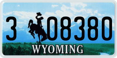 WY license plate 308380