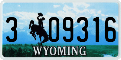WY license plate 309316