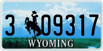 WY license plate 309317