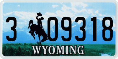 WY license plate 309318
