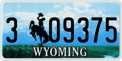 WY license plate 309375
