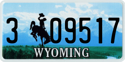WY license plate 309517