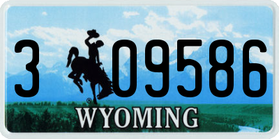 WY license plate 309586