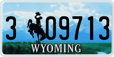 WY license plate 309713