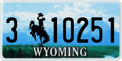 WY license plate 310251