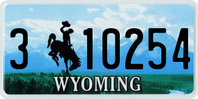 WY license plate 310254
