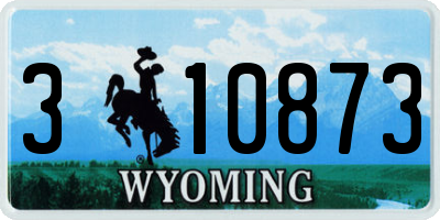 WY license plate 310873