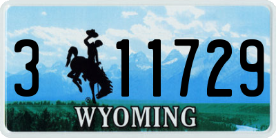 WY license plate 311729