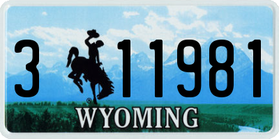WY license plate 311981