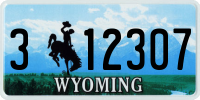 WY license plate 312307