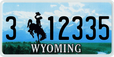WY license plate 312335