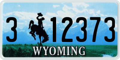 WY license plate 312373