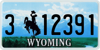 WY license plate 312391