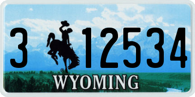 WY license plate 312534