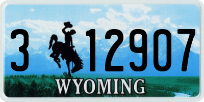 WY license plate 312907