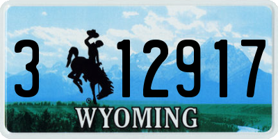 WY license plate 312917