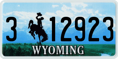 WY license plate 312923