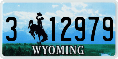 WY license plate 312979