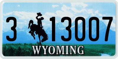 WY license plate 313007