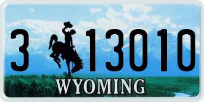 WY license plate 313010