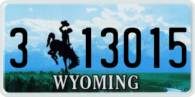 WY license plate 313015