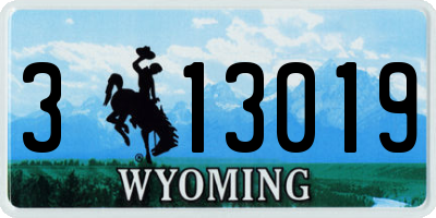 WY license plate 313019