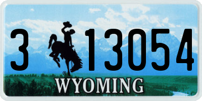 WY license plate 313054