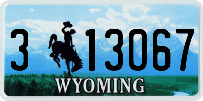 WY license plate 313067