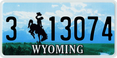 WY license plate 313074
