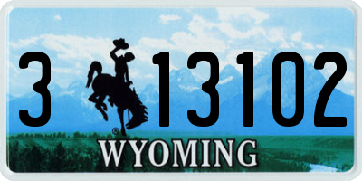 WY license plate 313102