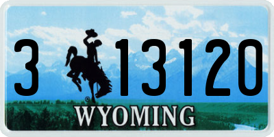 WY license plate 313120