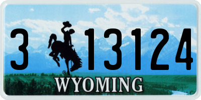 WY license plate 313124