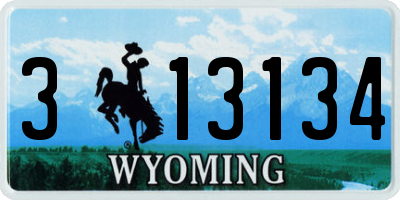 WY license plate 313134