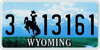 WY license plate 313161