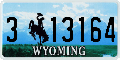 WY license plate 313164