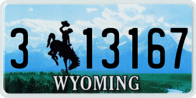 WY license plate 313167
