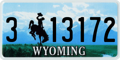 WY license plate 313172