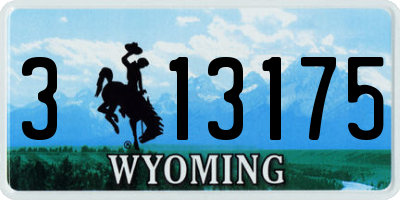 WY license plate 313175