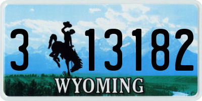 WY license plate 313182