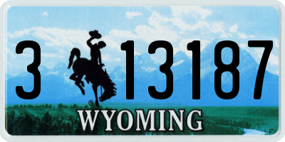 WY license plate 313187