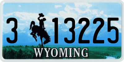 WY license plate 313225