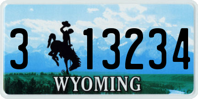 WY license plate 313234