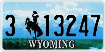 WY license plate 313247