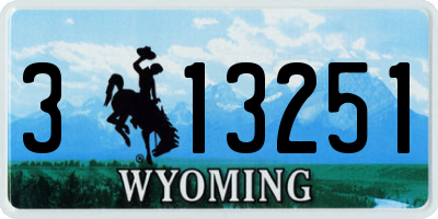 WY license plate 313251