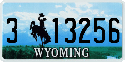 WY license plate 313256