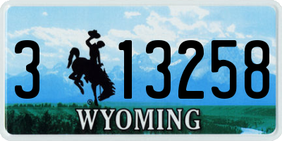 WY license plate 313258