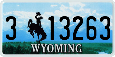 WY license plate 313263